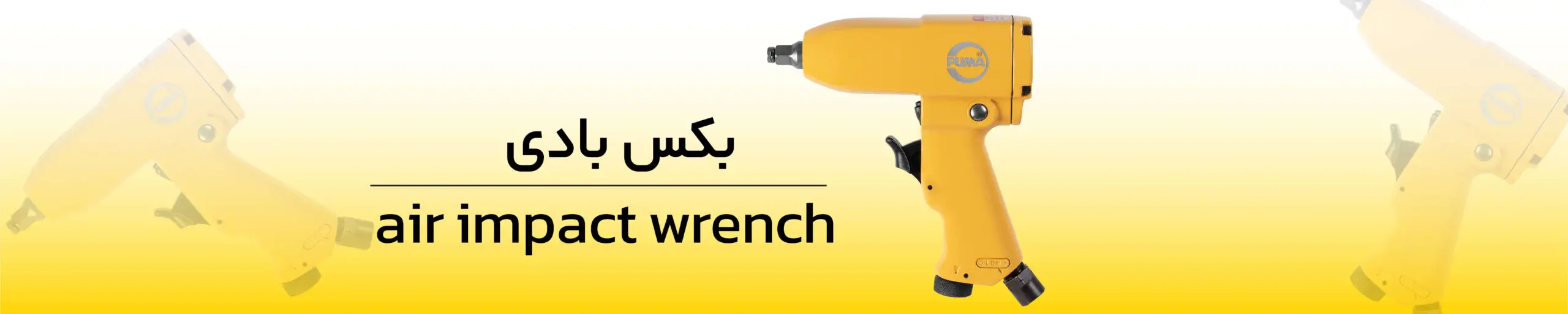 بکس بادی